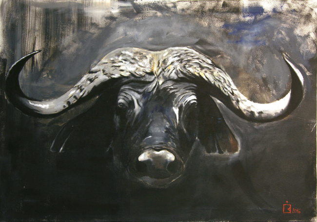 Stier 2